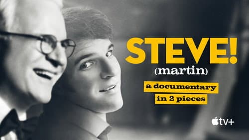STEVE! (martin) a documentary in 2 pieces still