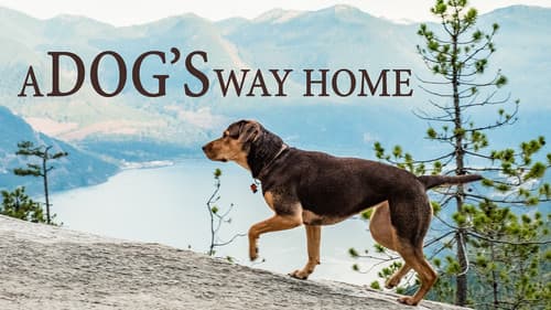 A Dog's Way Home still
