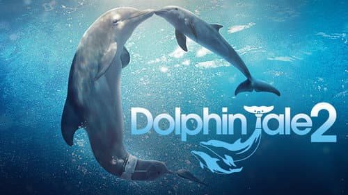 Dolphin Tale 2 still