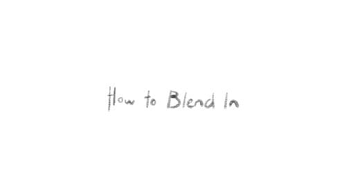 How to Blend In still