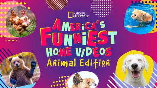 America's Funniest Home Videos: Animal Edition still