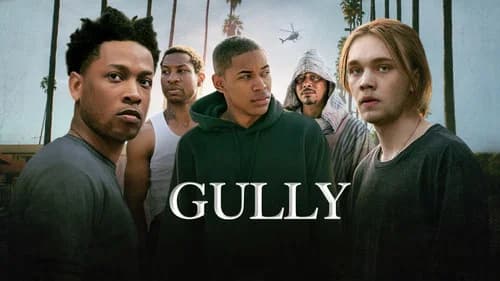 Gully still