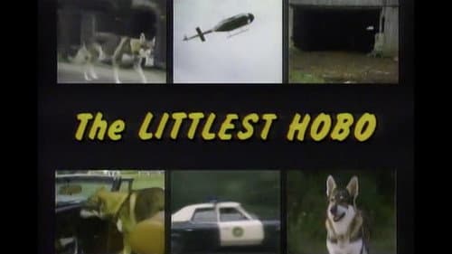 The Littlest Hobo still