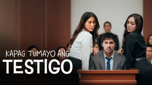Testimony of the Witness still