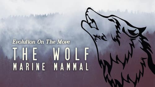 The Wolf: Marine Mammal still
