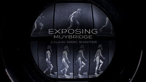 Exposing Muybridge still