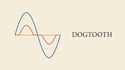 Dogtooth still