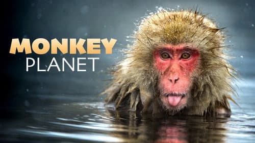 Monkey Planet still
