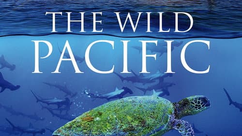The Wild Pacific: The Beauty Of Life still