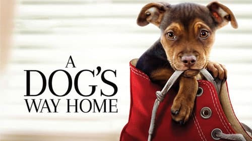 A Dog's Way Home still