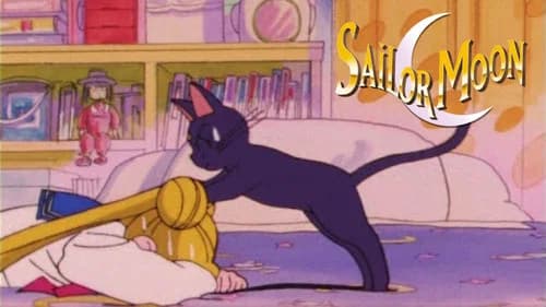 Sailor Moon still