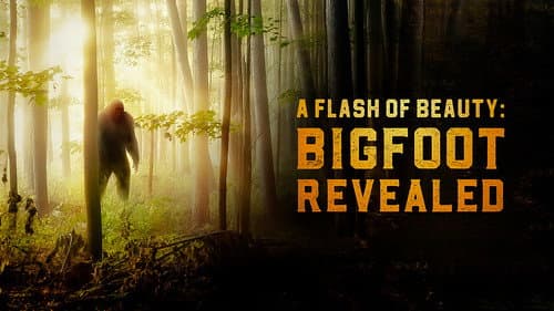 A Flash of Beauty: Bigfoot Revealed still