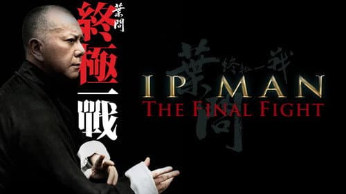 Ip Man: The Final Fight still