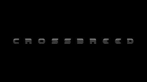Crossbreed still
