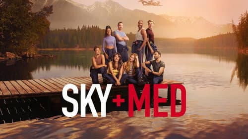 SkyMed still