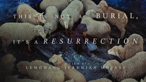 This Is Not a Burial, It's a Resurrection still