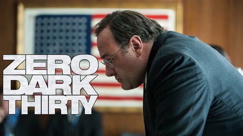 Zero Dark Thirty still