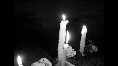 The Tribute still