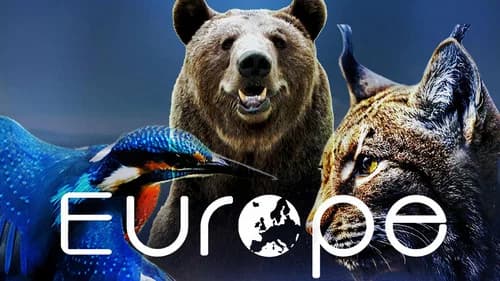 Europe still