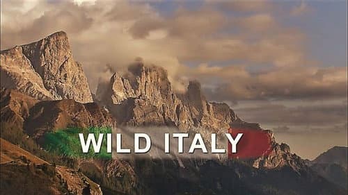 Wild Italy still