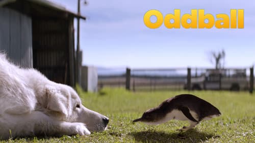 Oddball still