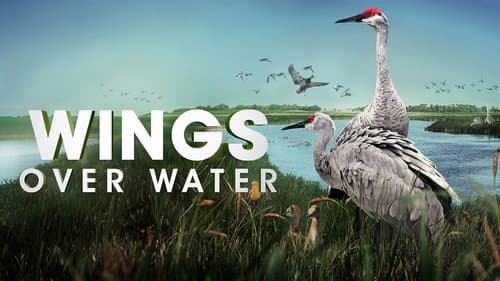 Wings Over Water still