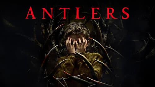 Antlers still