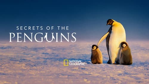 Secrets of the Penguins still