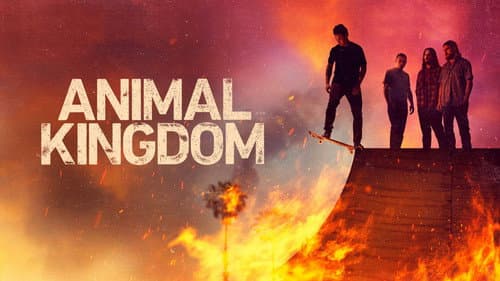 Animal Kingdom still