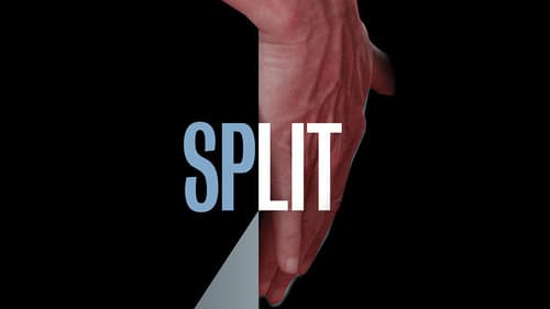 Split still