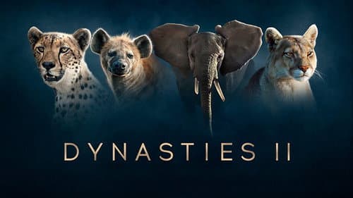 Dynasties still