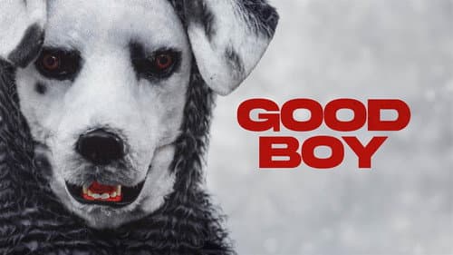 Good Boy still