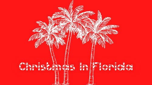 Christmas In Florida still