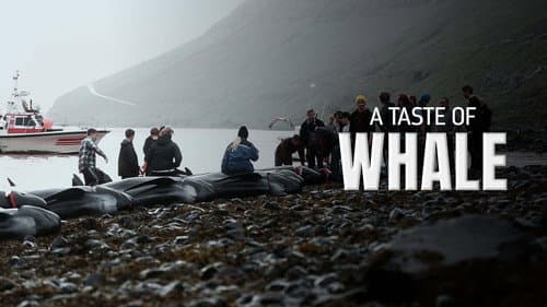 A Taste of Whale still