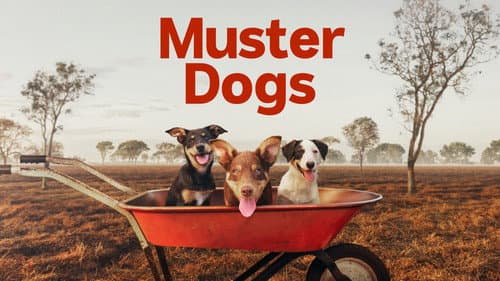Muster Dogs still