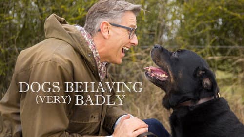 Dogs Behaving (Very) Badly still