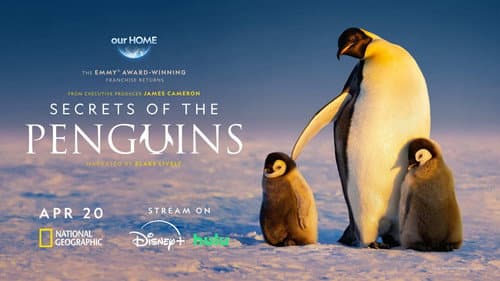 Secrets of the Penguins still