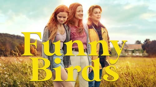 Funny Birds still