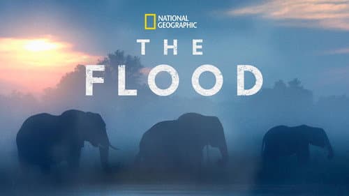 The Flood still