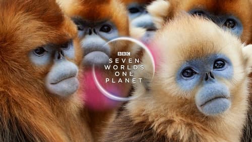 Seven Worlds, One Planet still