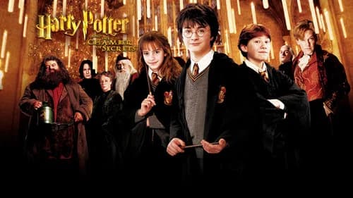 Harry Potter and the Chamber of Secrets still