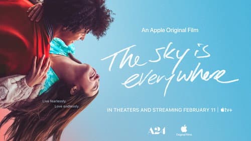 The Sky Is Everywhere still
