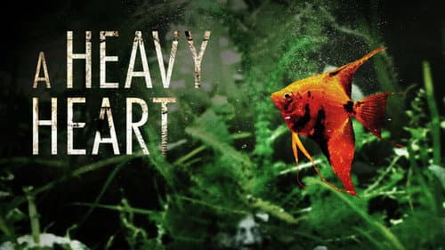 A Heavy Heart still