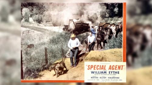 Special Agent still