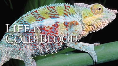 Life in Cold Blood still