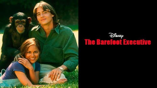 The Barefoot Executive still
