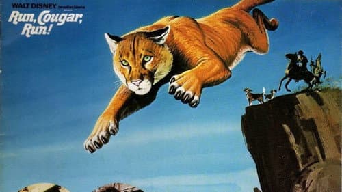 Run, Cougar, Run still