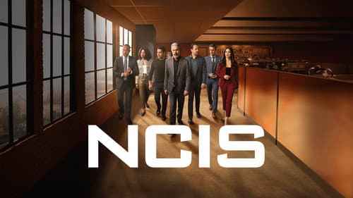 NCIS still