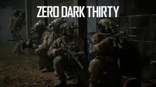 Zero Dark Thirty still
