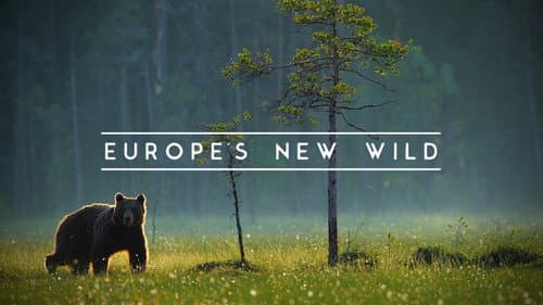 Europe's New Wild still